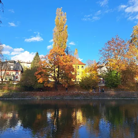 Six In The Apartment, Διαμέρισμα *